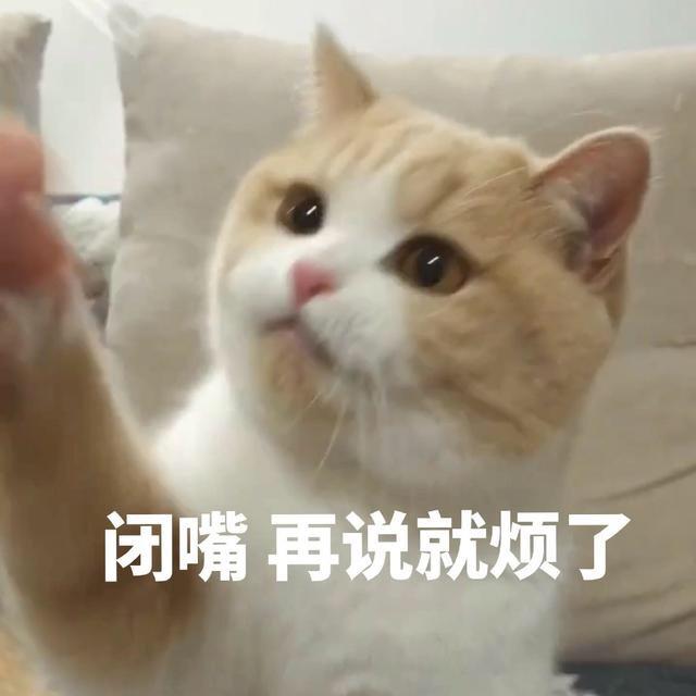 安然与巧克力