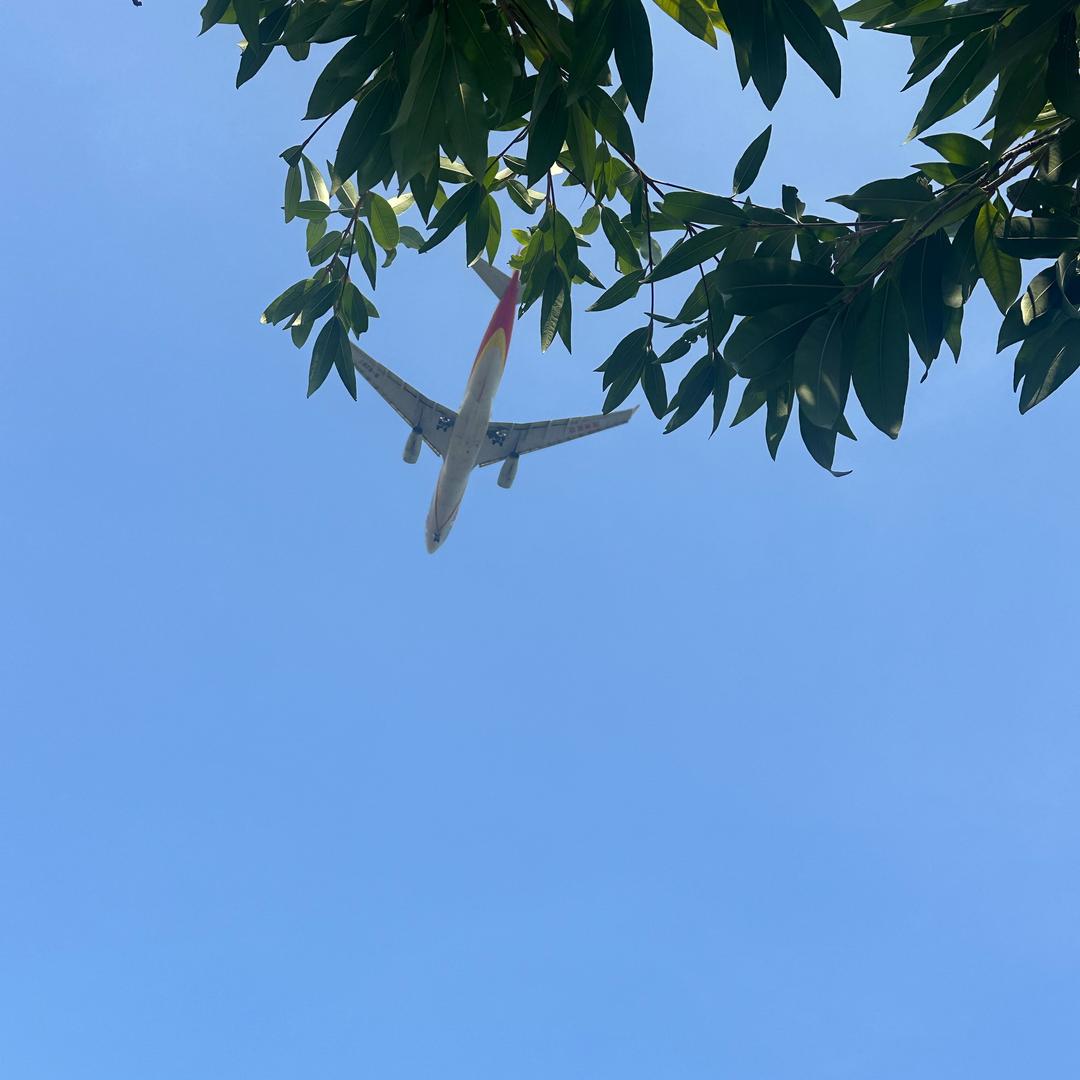 耶嘿⁹²ᵈʸ🐟