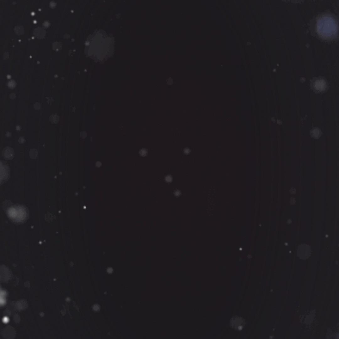 王星星宇