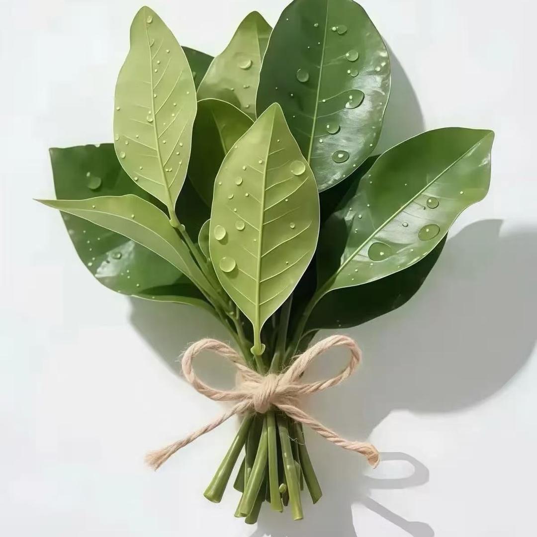 不将就@