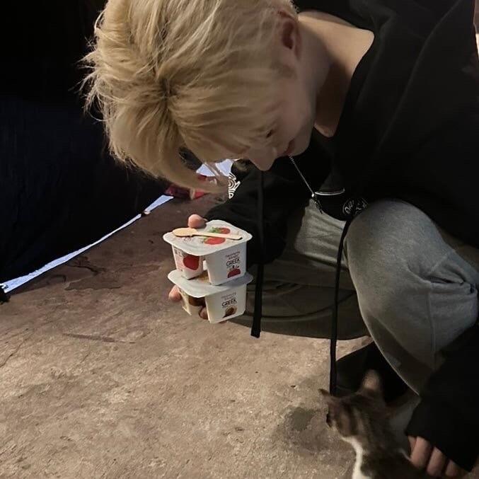 成韩彬songha柏源正牌女友