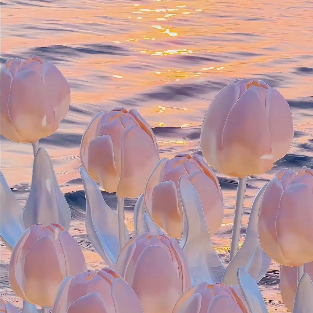 大鱼宝宝🍼