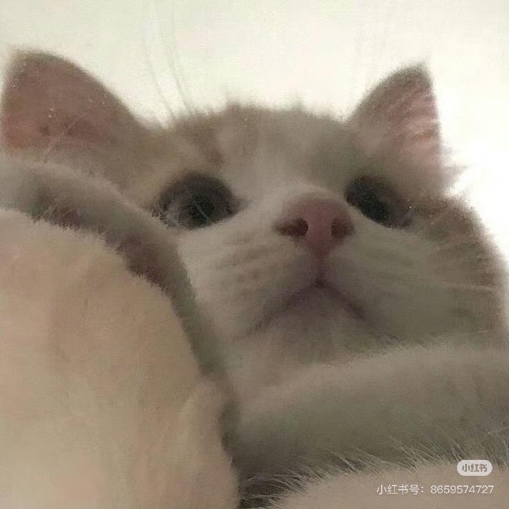 u点困
