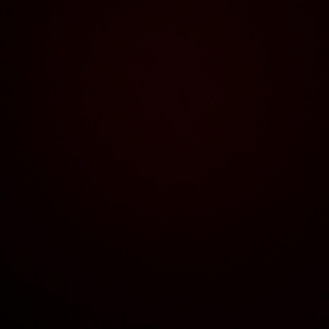 宗成道人6