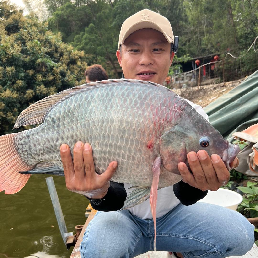 老G胡兆锋@抖音