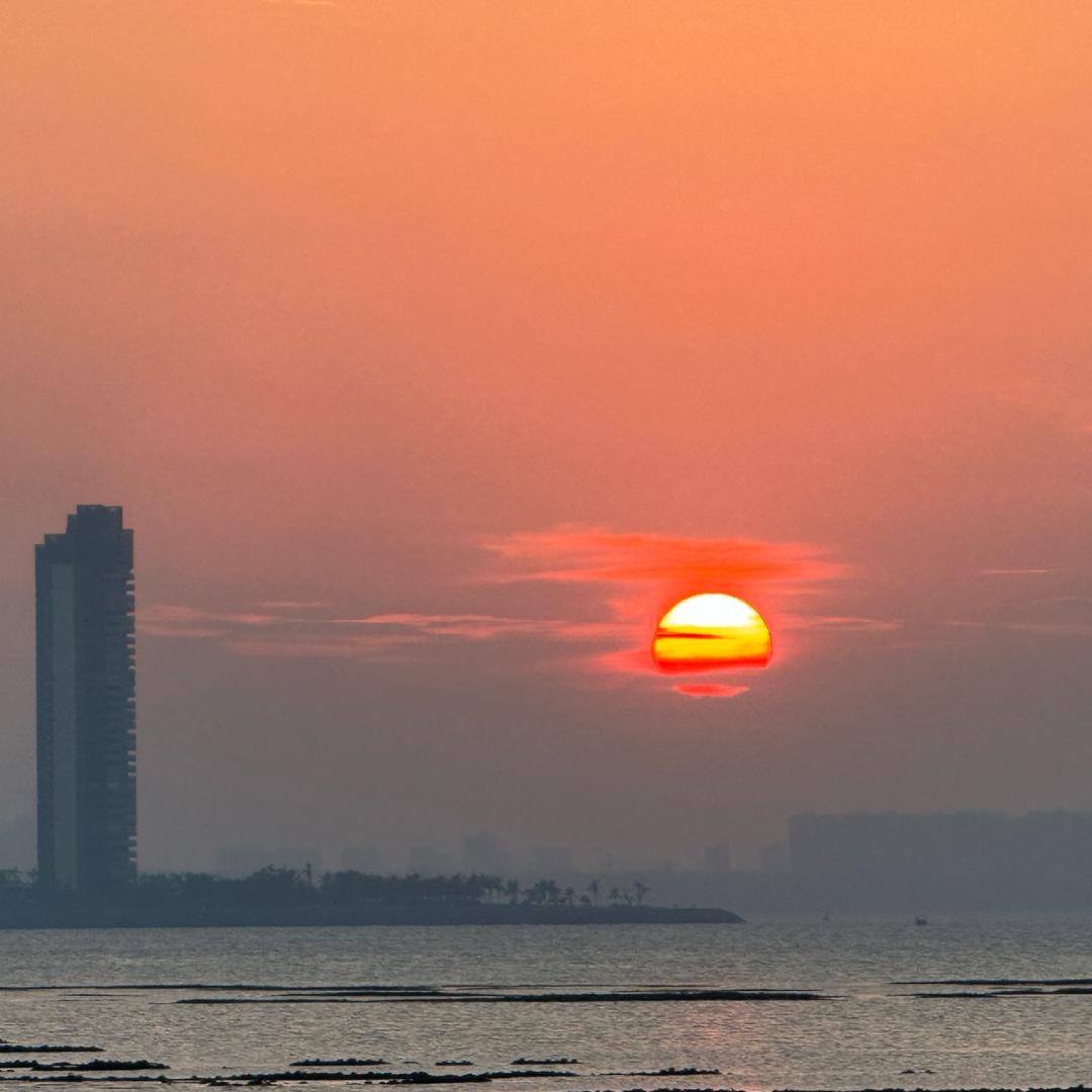 金🌹三弓 🐂🐂