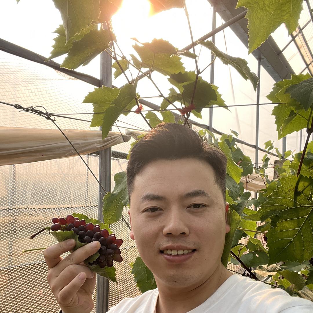 宜宾王阿妹水果批发