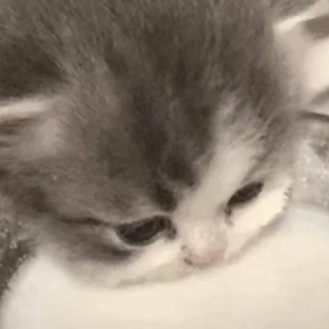 ozzz