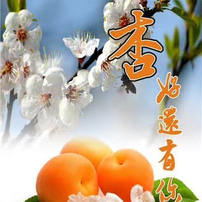 知足无悔