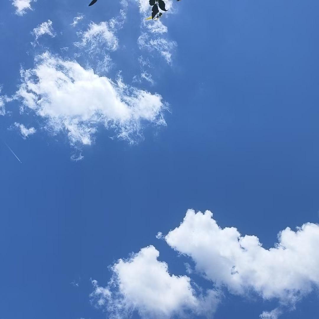 晴