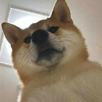 舔狗