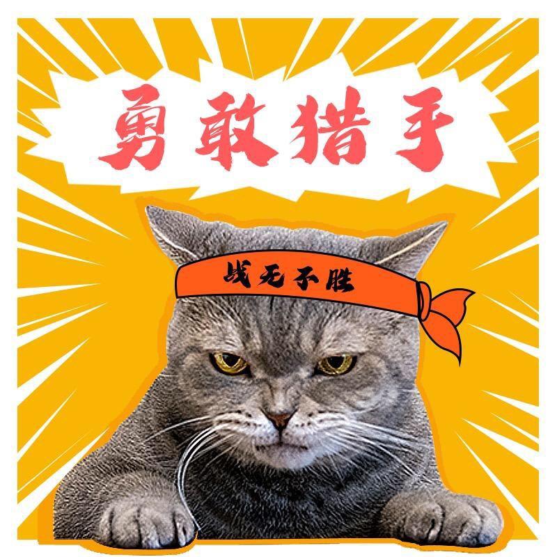 勇敢猎手