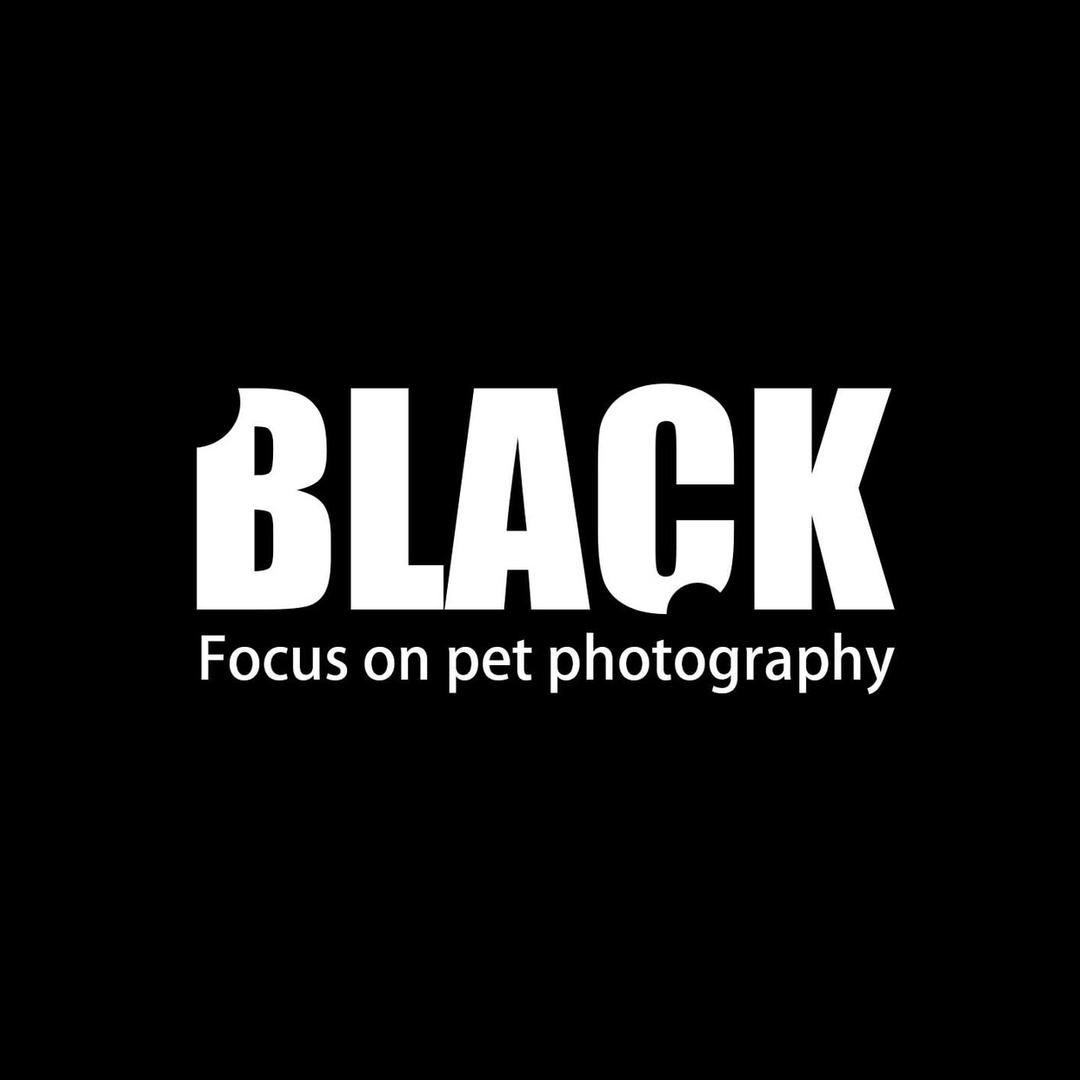 BLACK.LI宠物摄影