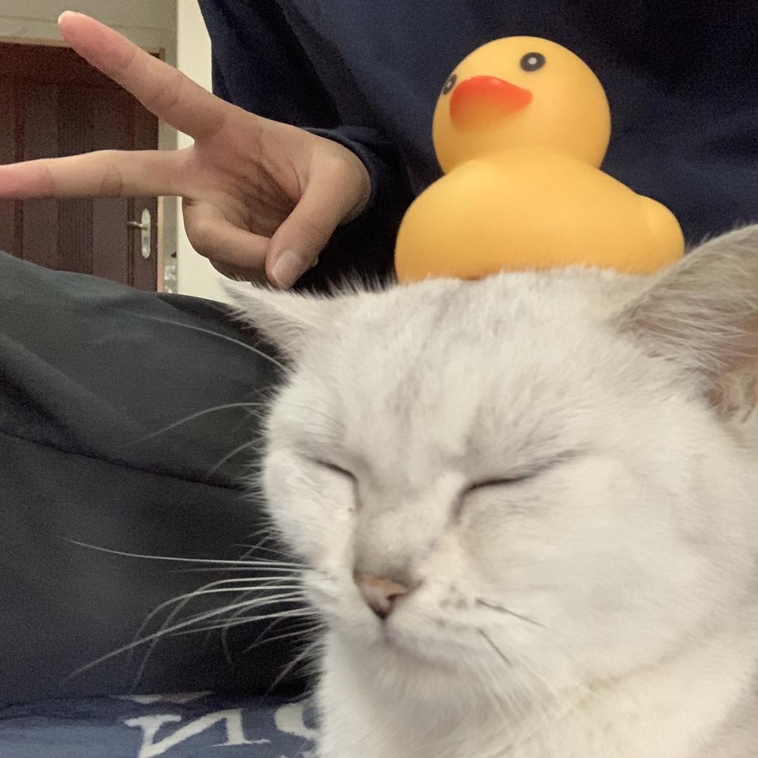 小张一米七