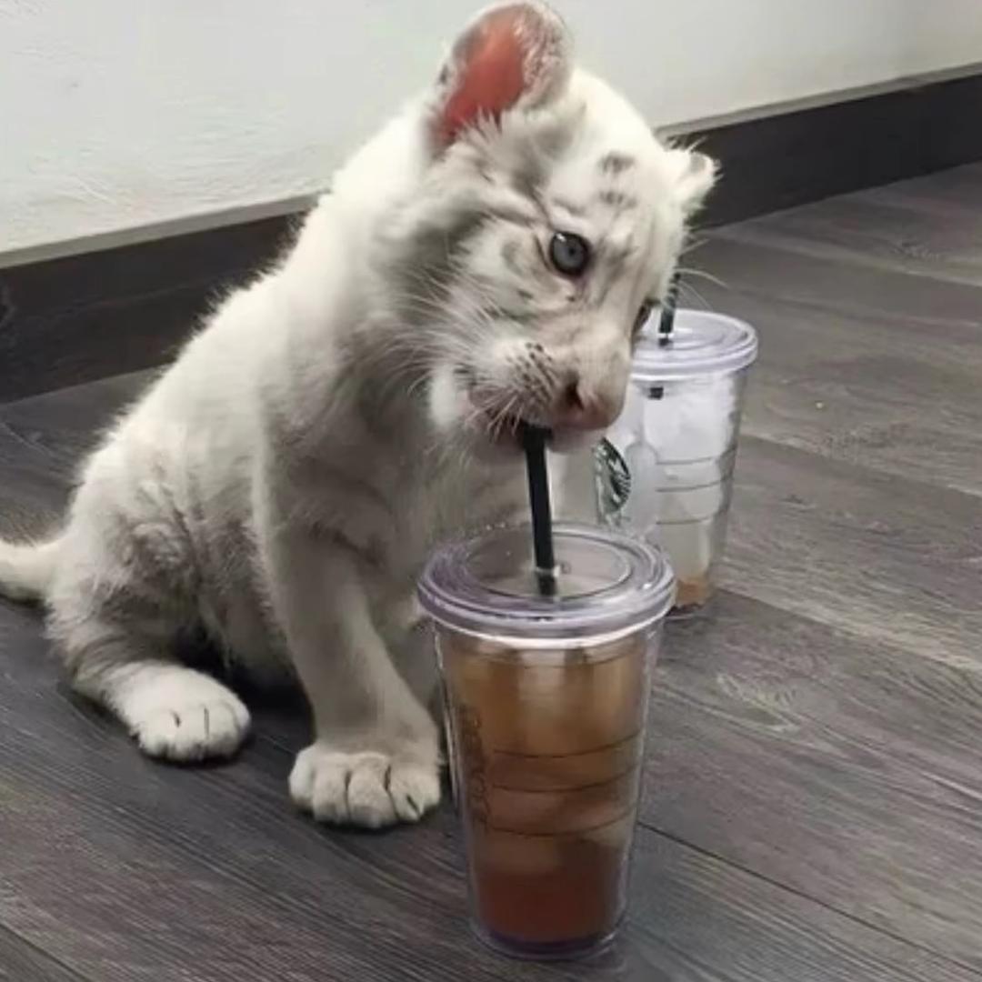 从来不办好点子