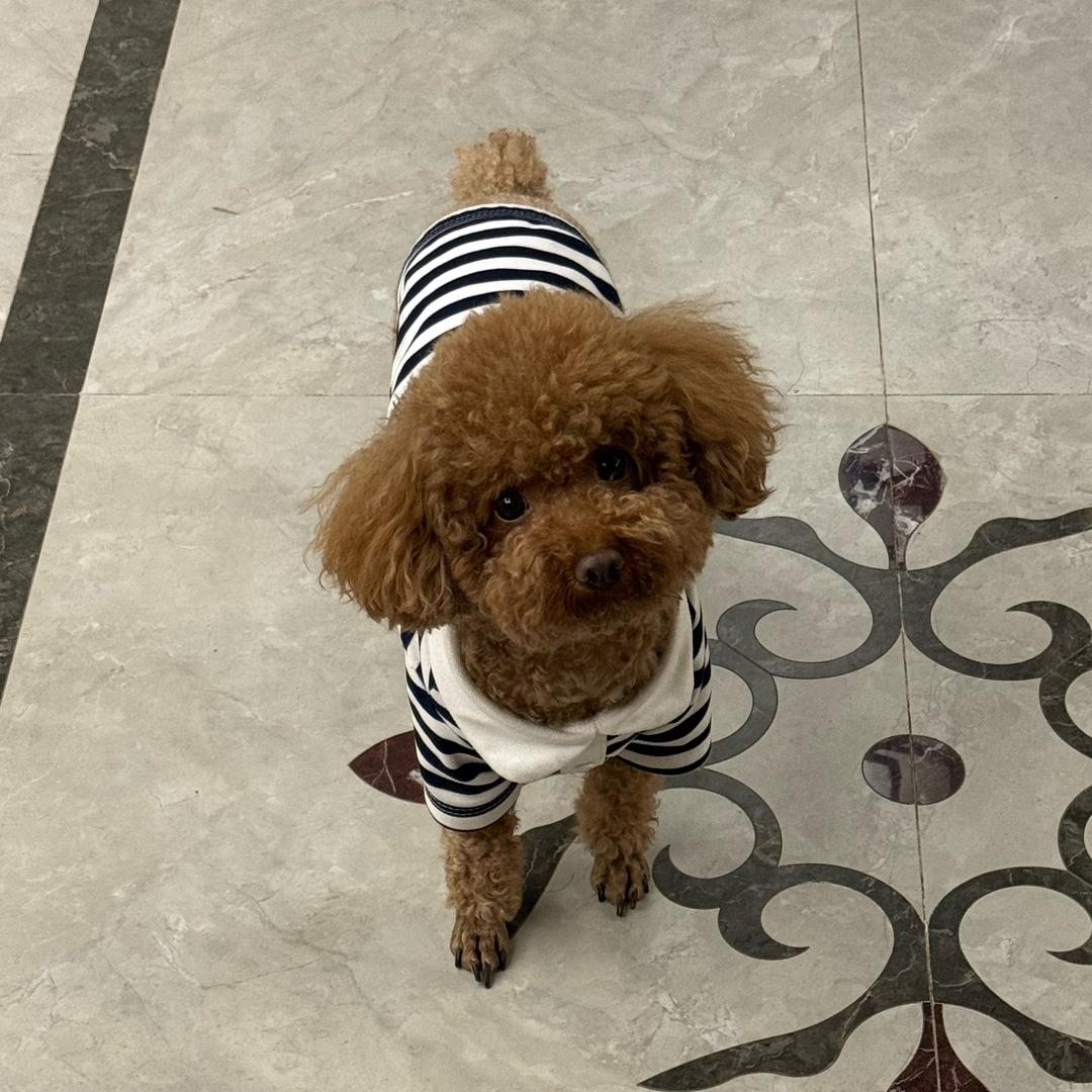 ZY玩具批发市场