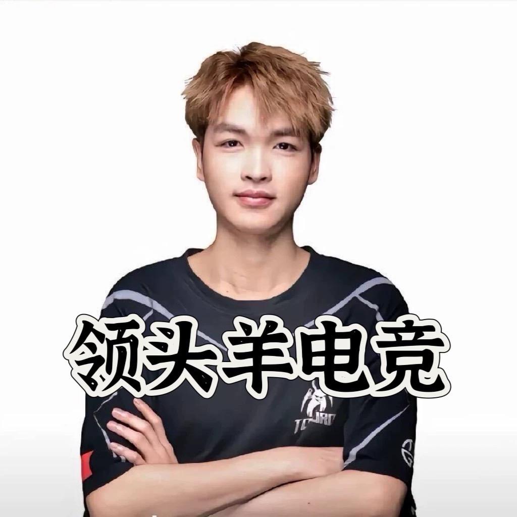 领头羊电竞（无畏契约）