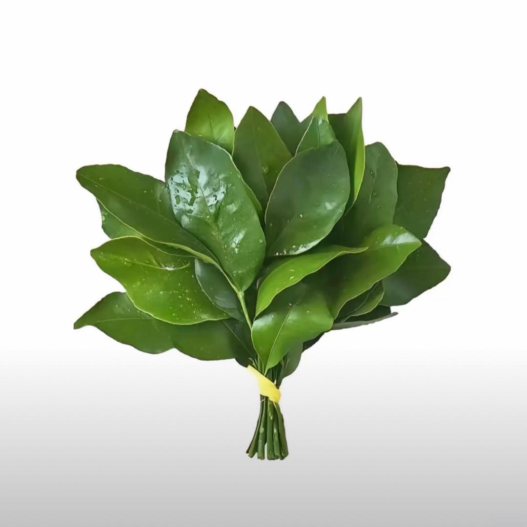 泼天富贵儿@培培