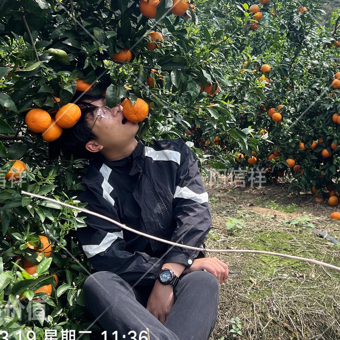 新农人小蒋（阳信祥）