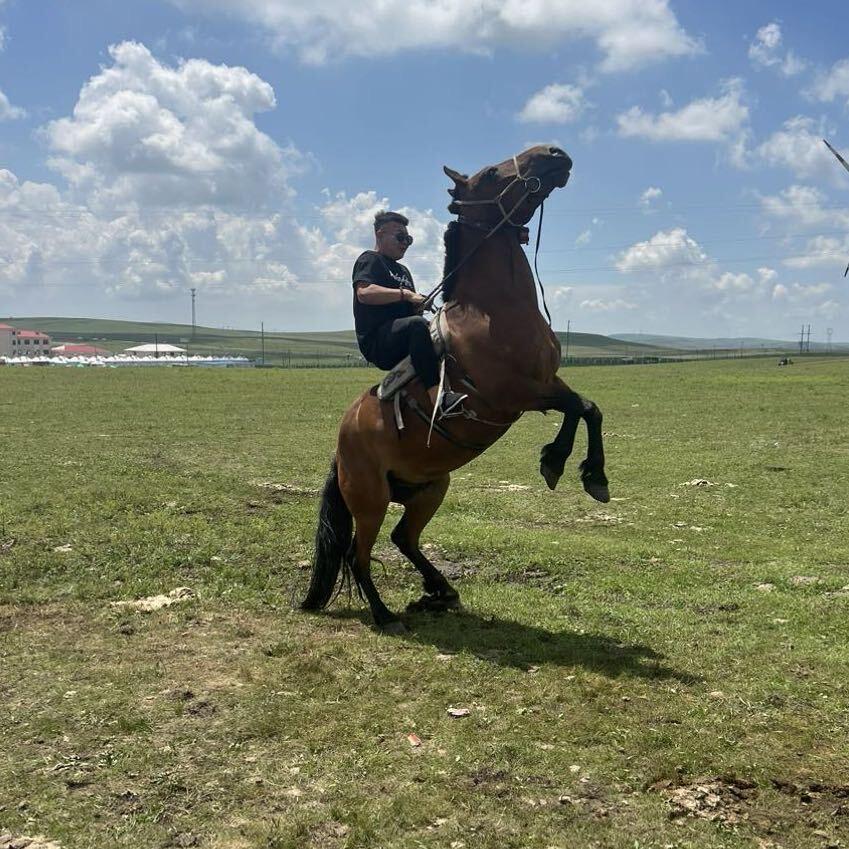 🌞苏和草原旅游接待