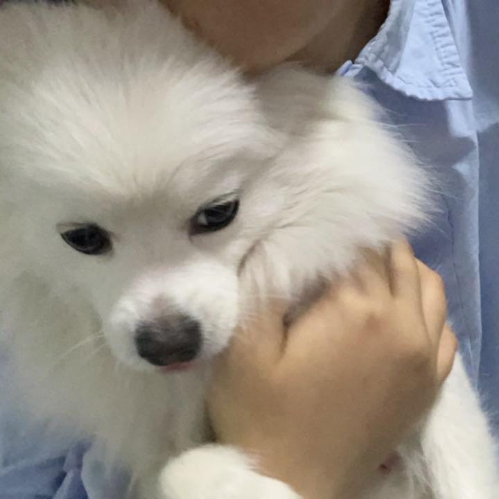 月月爱睡觉