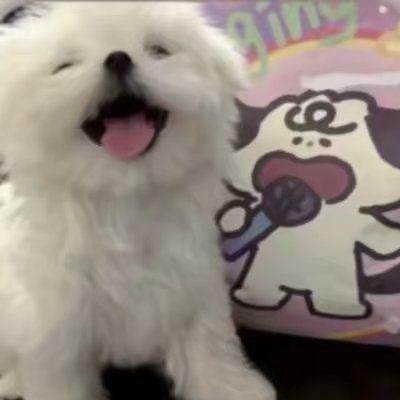 小智甄选