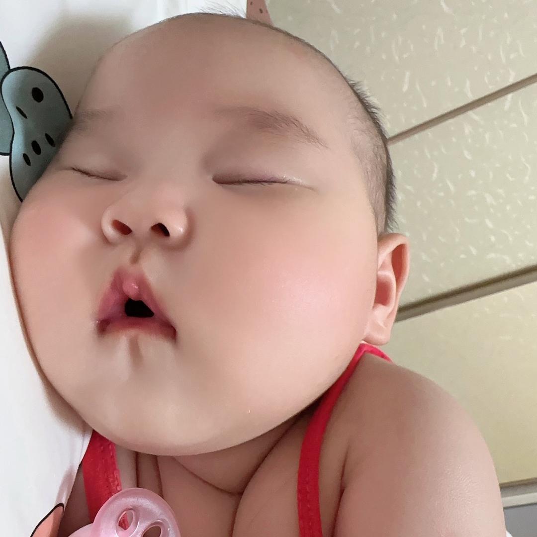 一只胖糯糯
