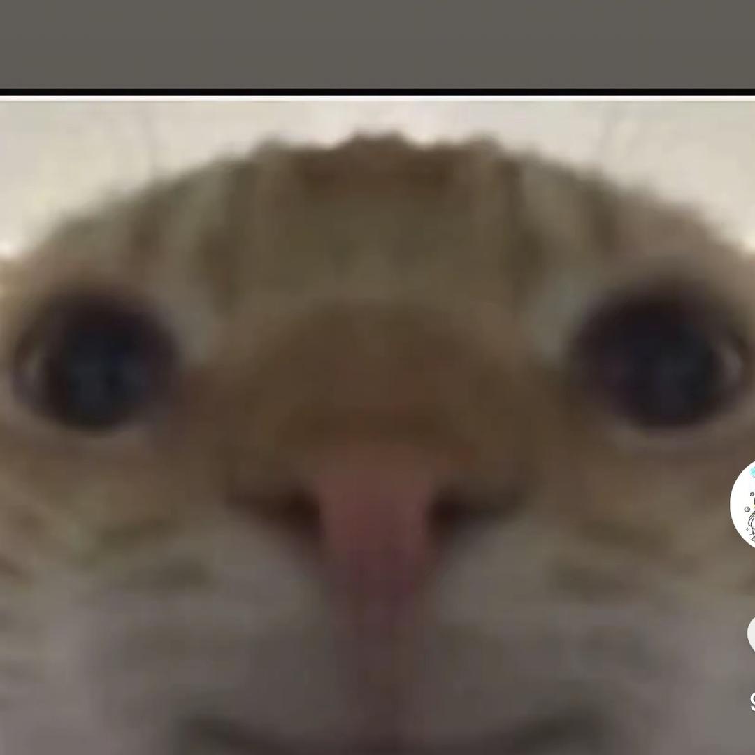 ordk