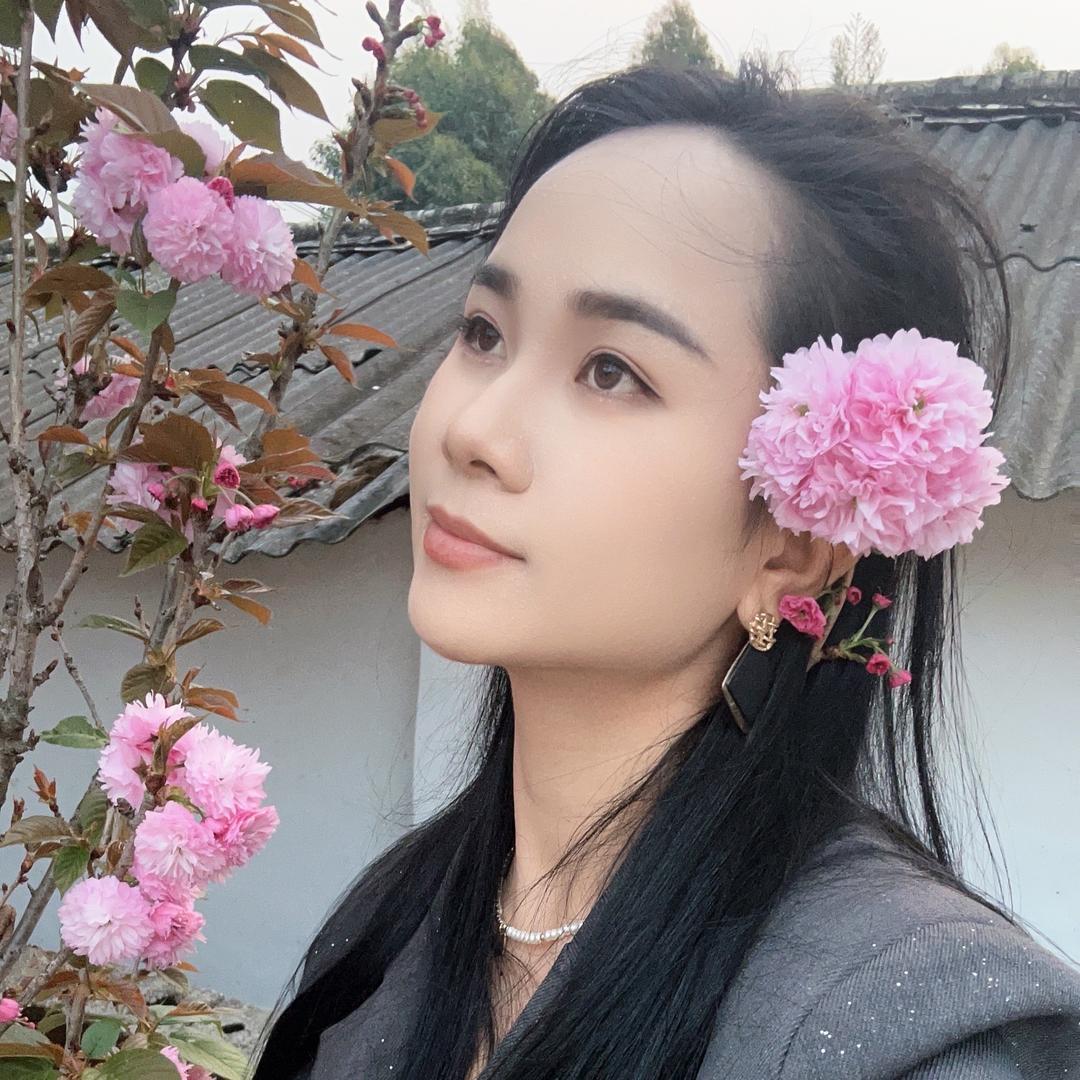 一只白鸽