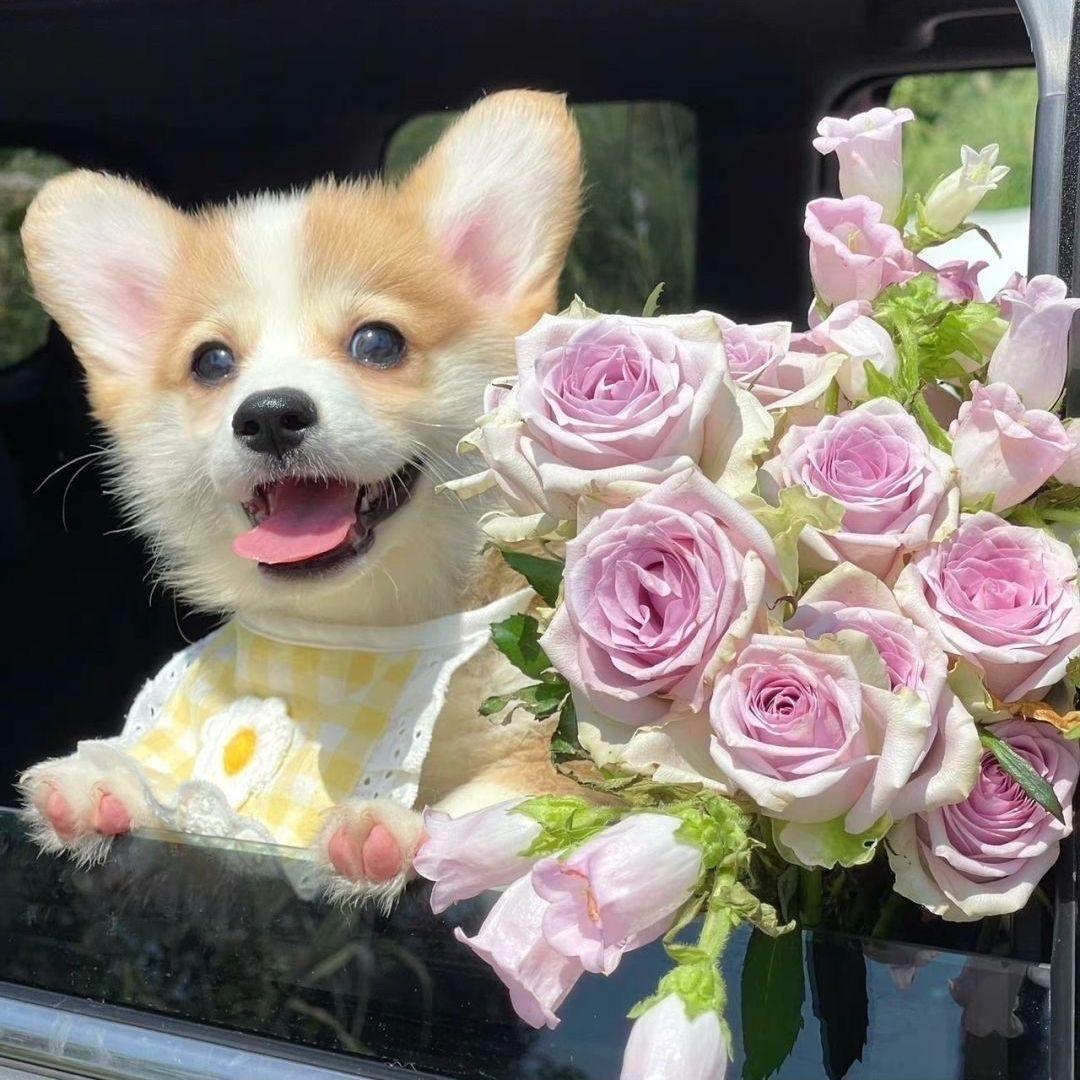 蒋环宇