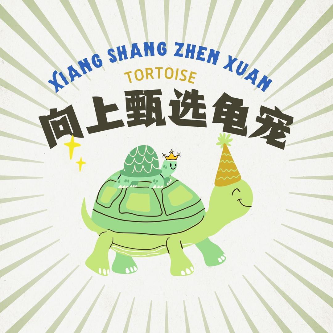 向上甄选龟宠
