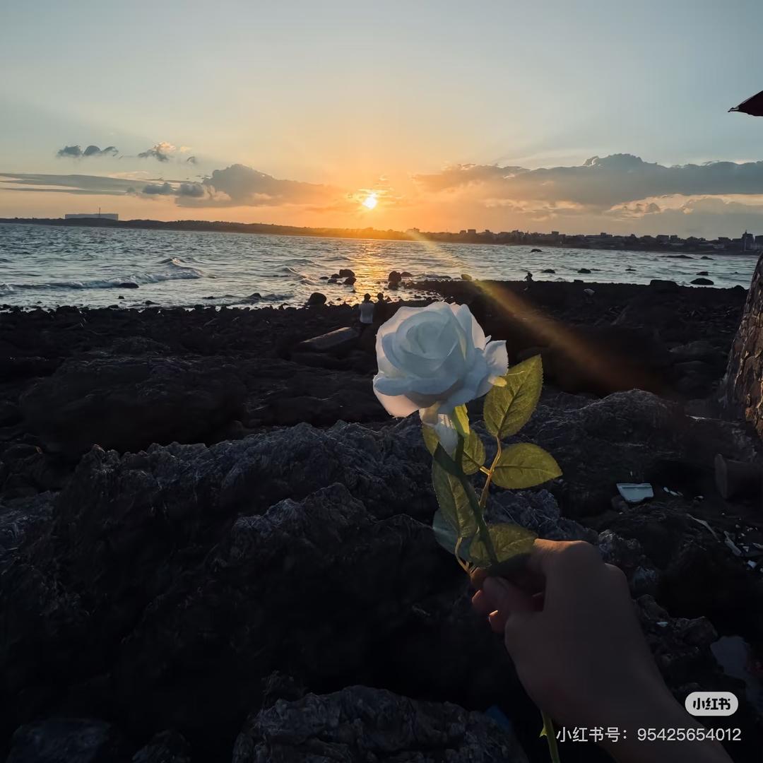 加冰加冰加冰🧊