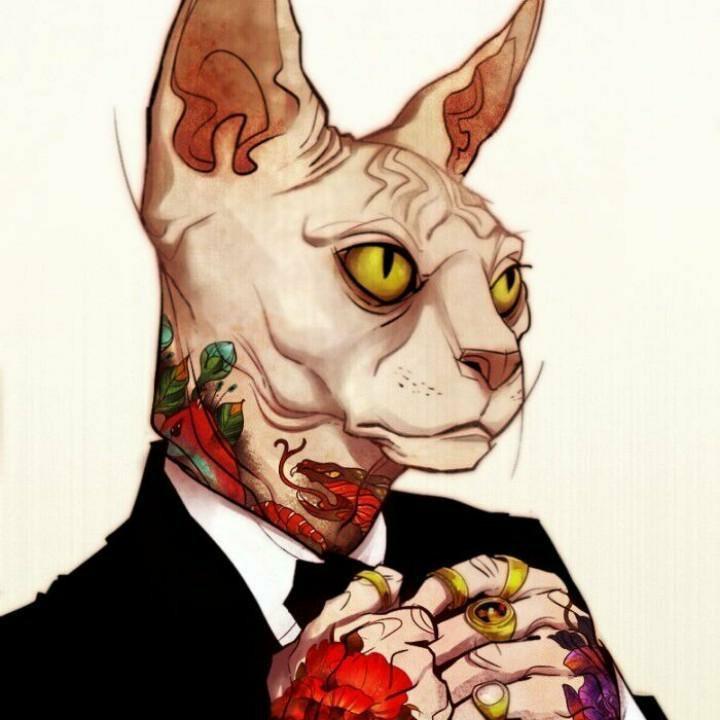 醉猫