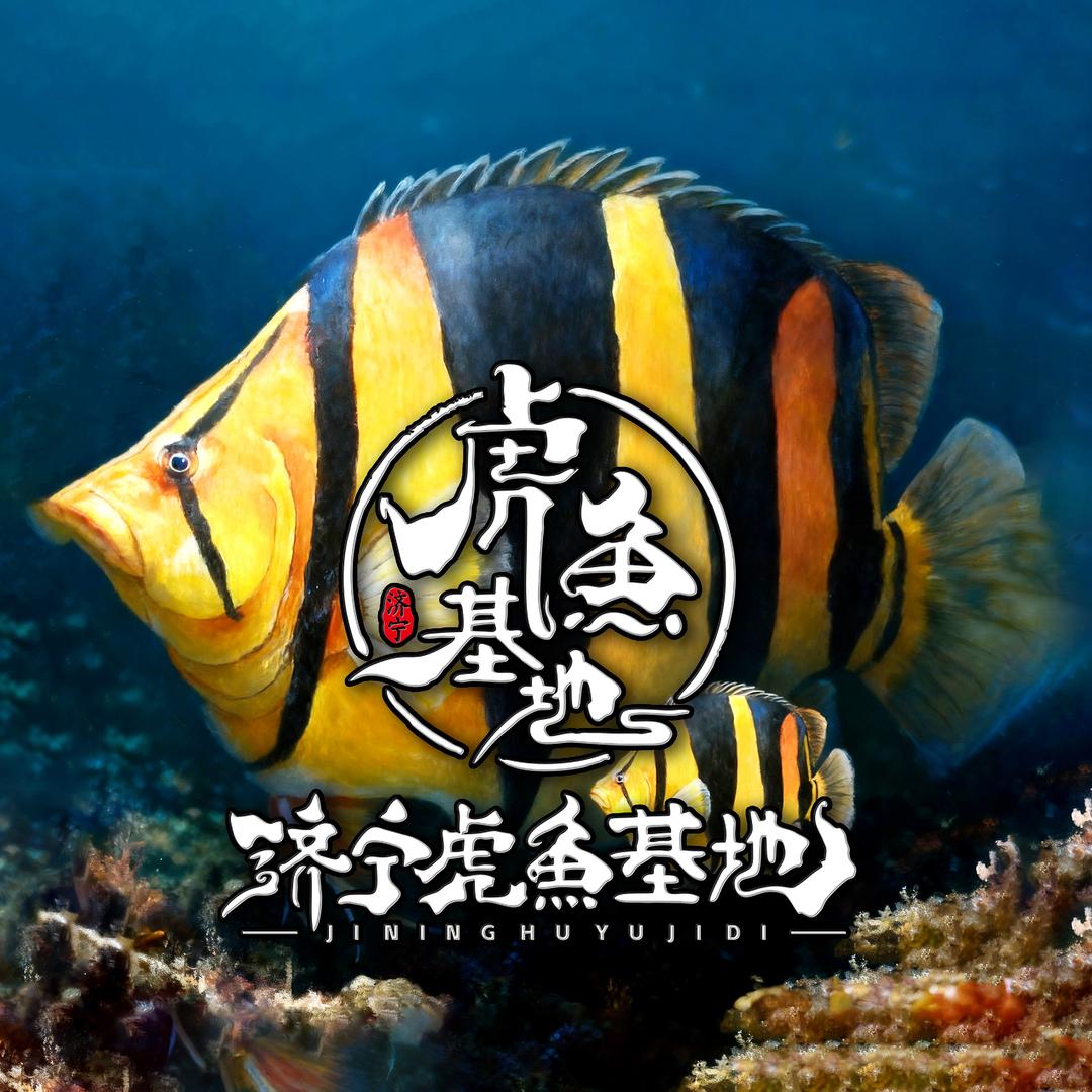 山东济宁虎鱼基地2号