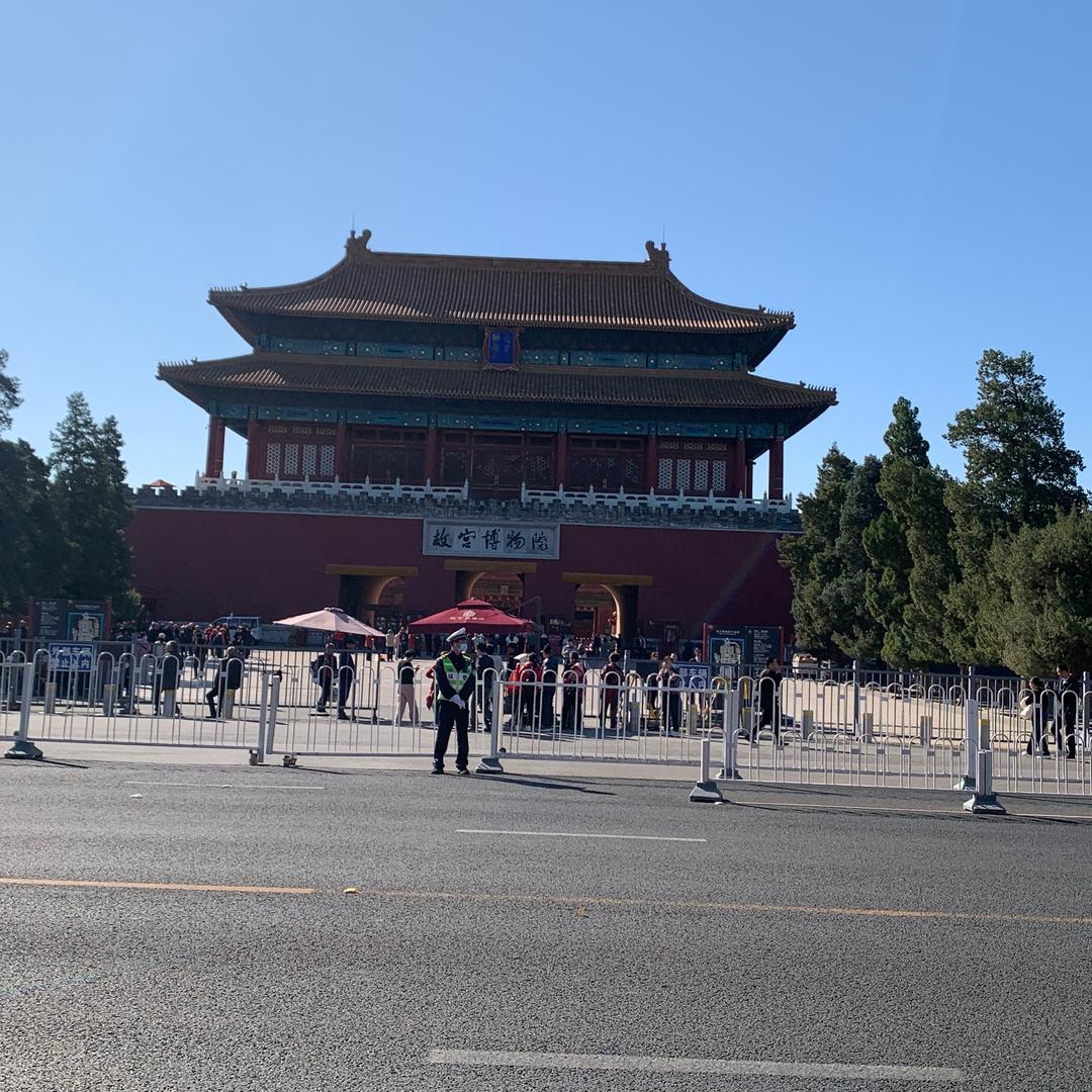 希树网络