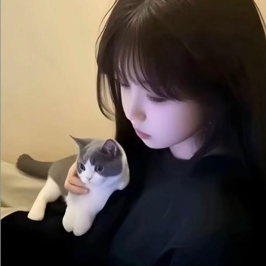 泥浩