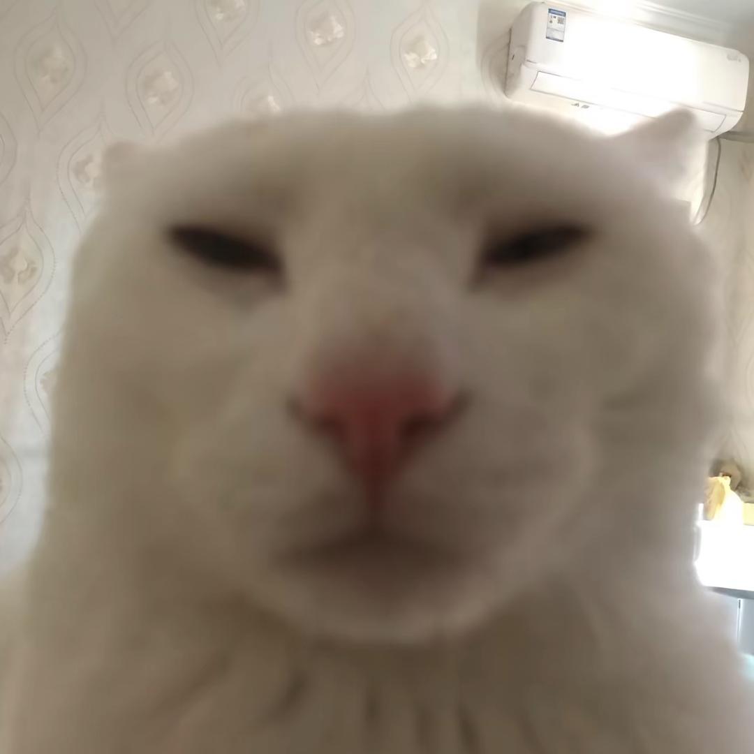 奥草地