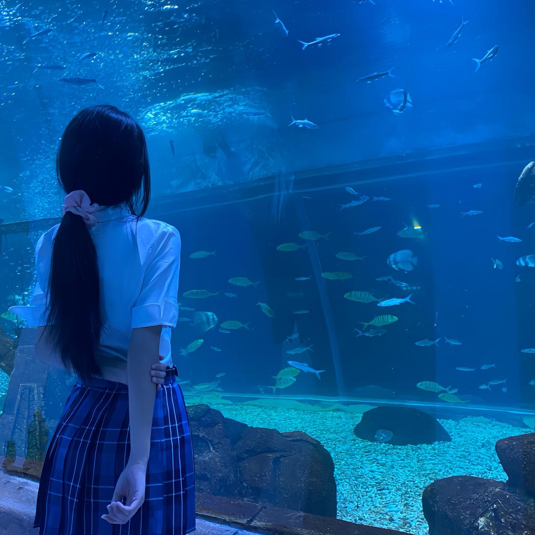 沈阳刘亦菲