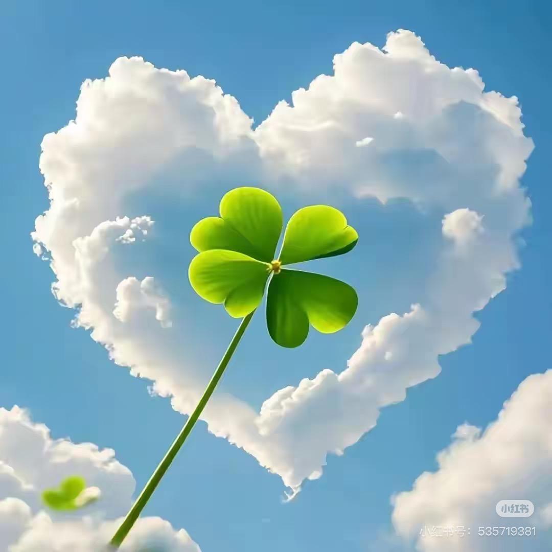 A、小幸运💐💐