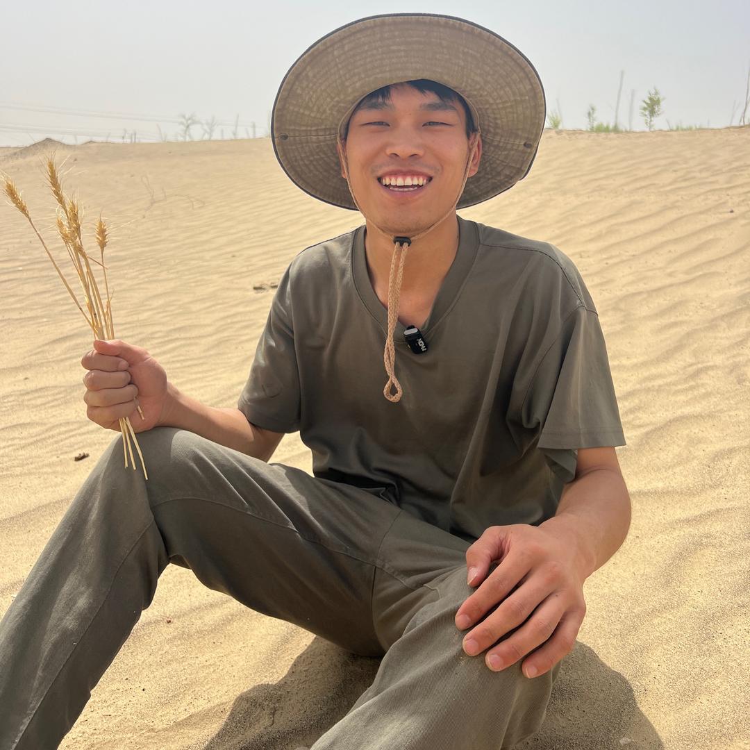 沙漠小强