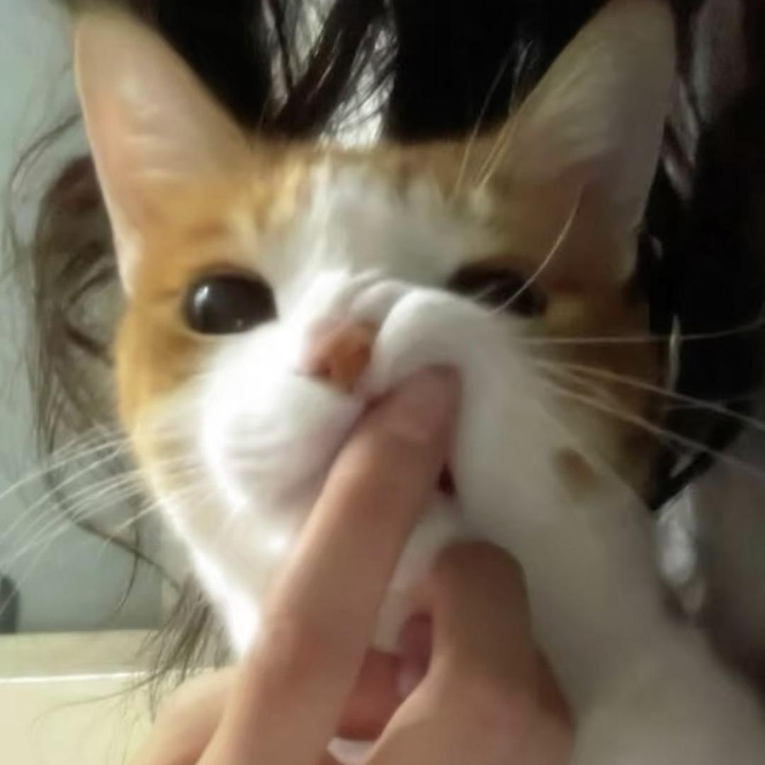 荣嬷嬷（见过迪丽热巴版）