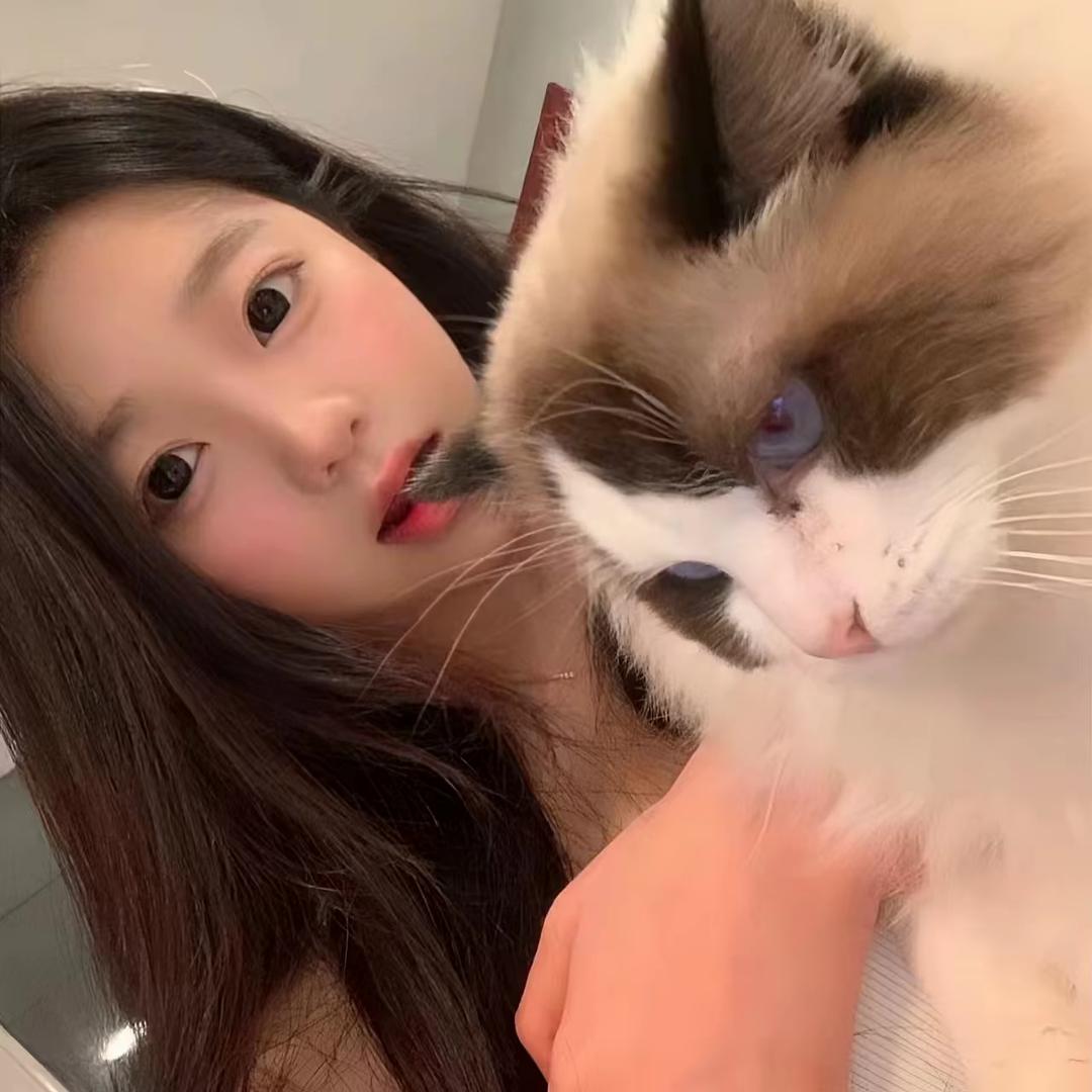 琪崽