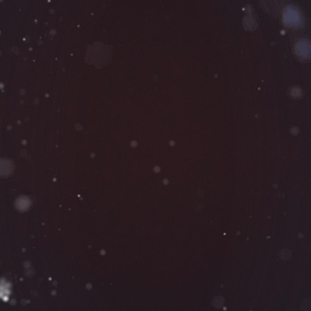 %不做女人的舔狗/