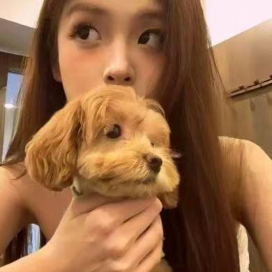 小小雨ʚɞ