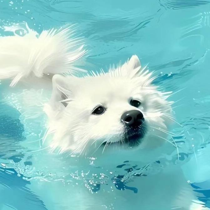 风千千