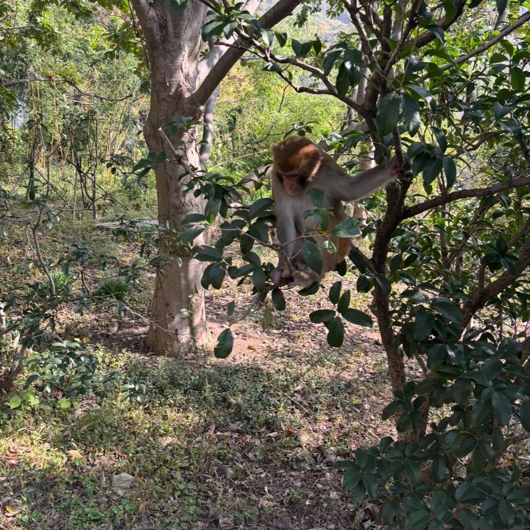 若即若离的是人心
