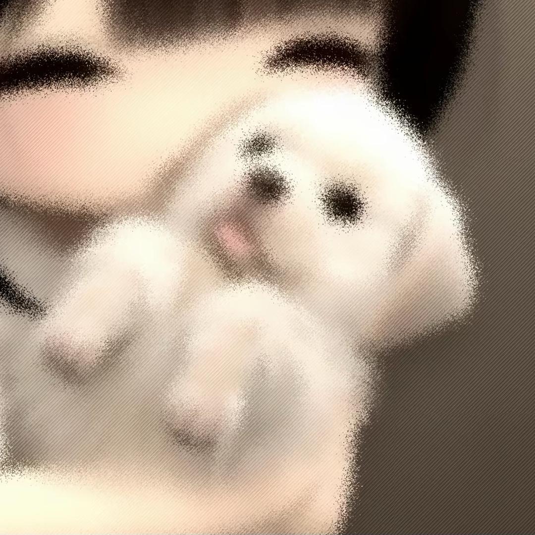 纸盒控