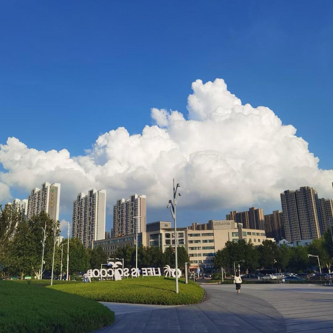 于金领的碎碎念