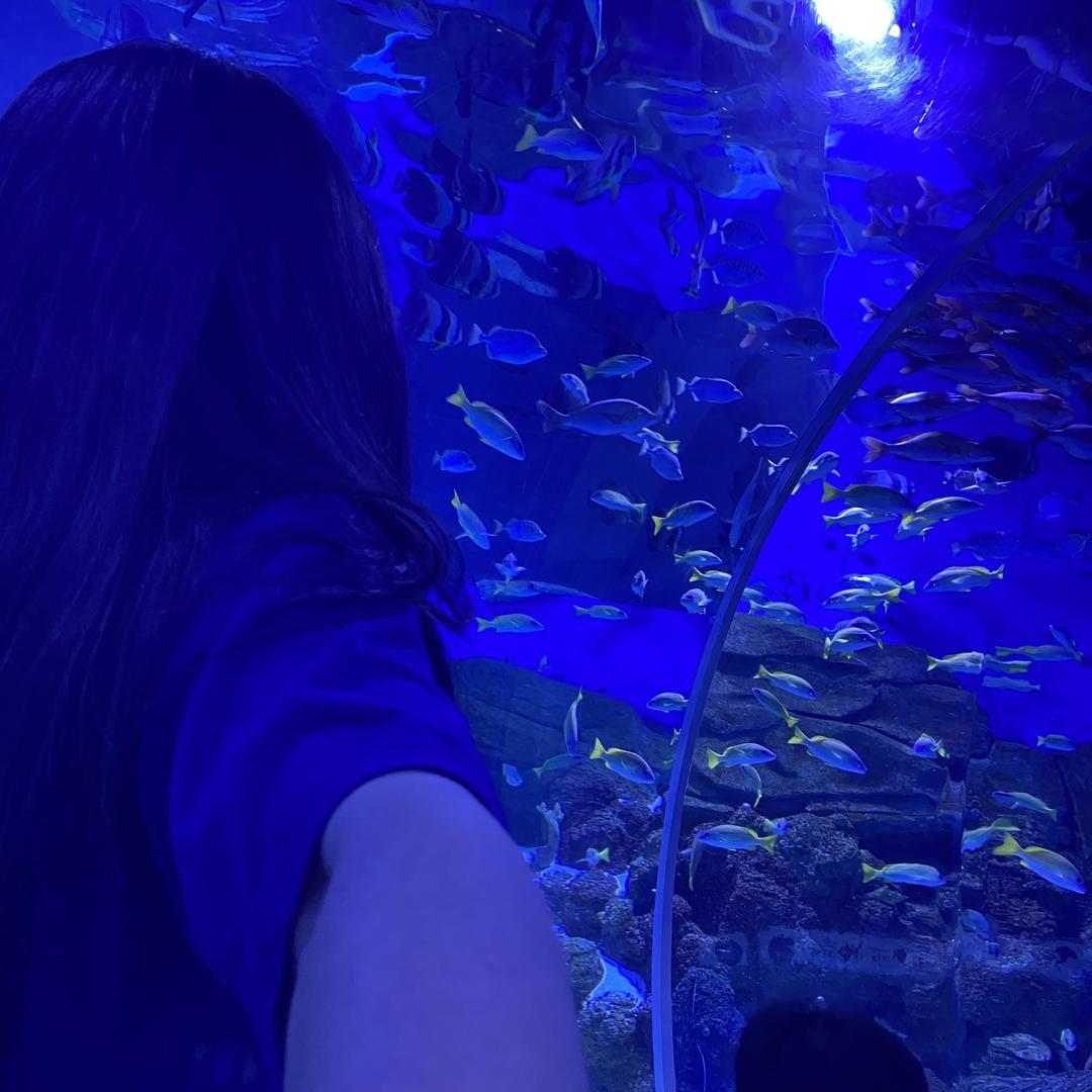 🛺𝗱𝘂𝗱𝘂ᐝ