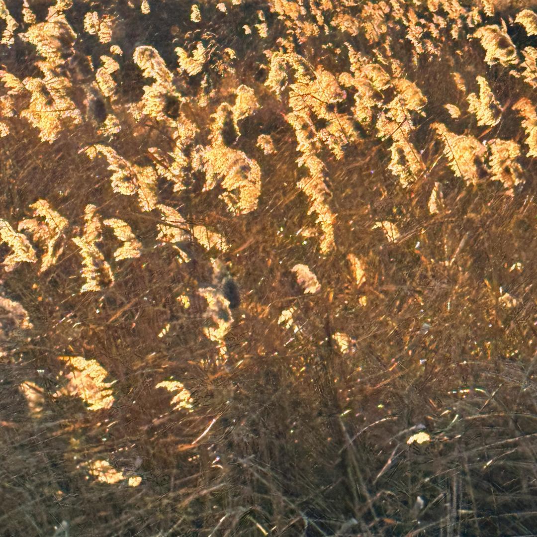 肥皂🧼泡泡🫧